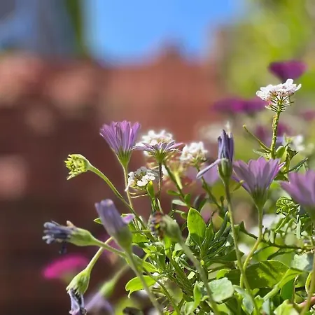 דירה Pueblo Del Sol - Monabri *