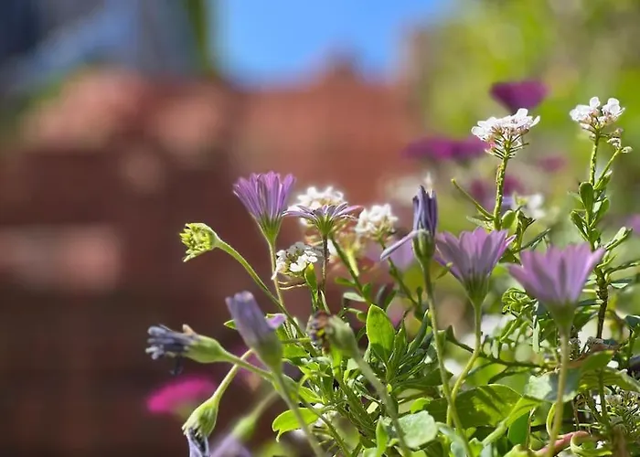 Apartament Pueblo Del Sol - Monabri *